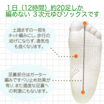 ゴルフ&ウォーキングソックス