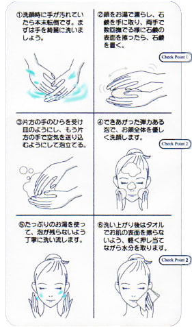 正しい泡立て洗顔の方法