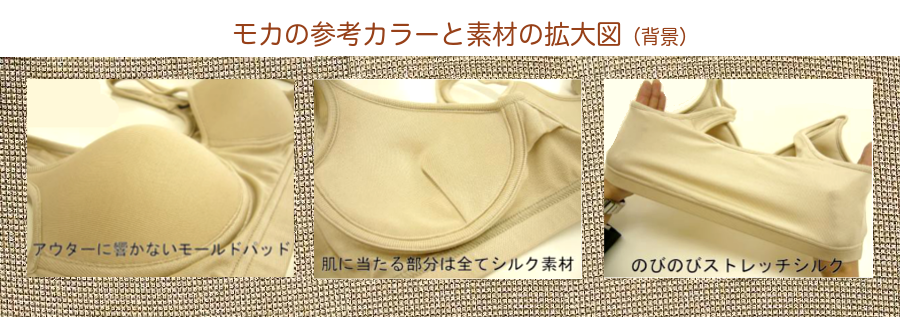 シルクノンワイヤーモールドブラジャー