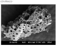 シルクフィブロインの顕微鏡拡大図